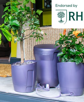 AutoPot Khloris Watering System Blackberry