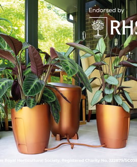 AutoPot Khloris Watering System Copper