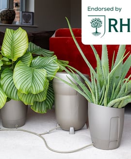AutoPot Khloris Watering System Metallic Sage