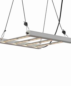 G-Tools G-bars 170W LED grow light with dimmer for growing chillies indoors