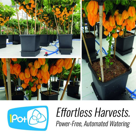 AutoPot 1Pot Extension Kit - gallery
