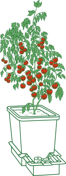 AutoPot 1Pot Extension Kit - line drawing