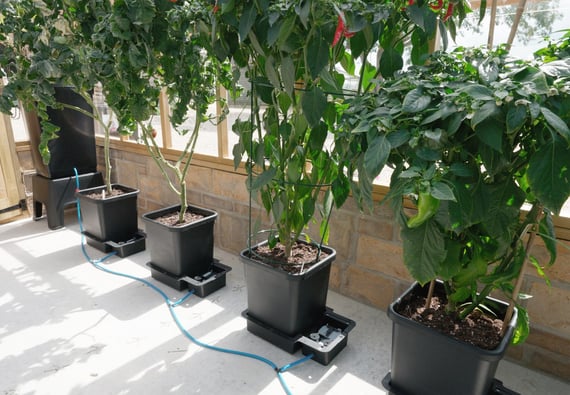 AutoPot 1Pot System - detail