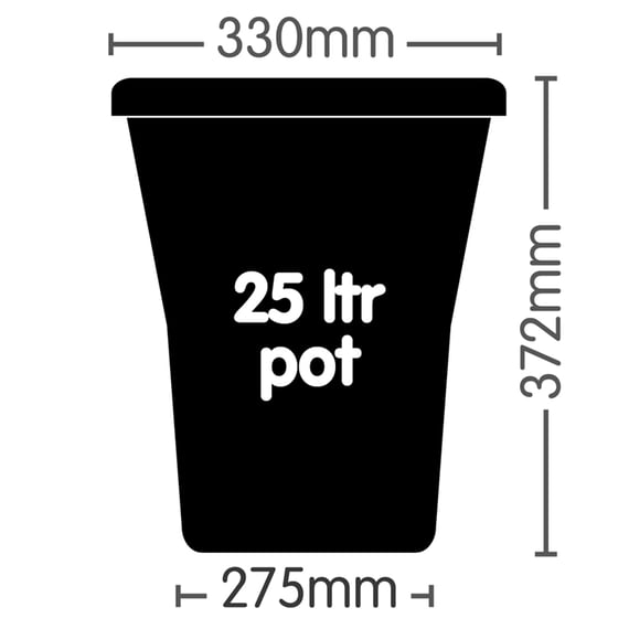 AutoPot 25L Pot (Black) - in use