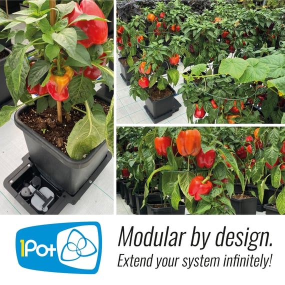 AutoPot 4Pot System - gallery