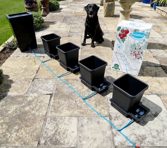 AutoPot 4Pot System - lifestyle