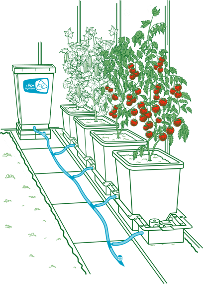 AutoPot 4Pot System - line drawing