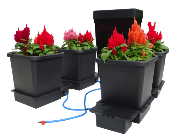 AutoPot 4Pot System - cutout
