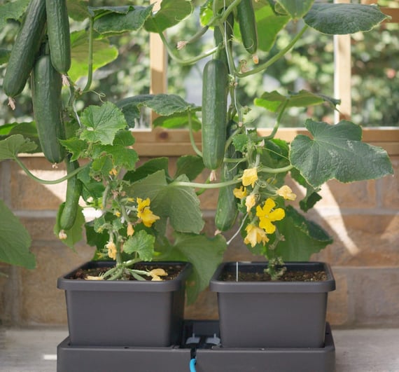 AutoPot Accessory pack for easy2grow Extension kit - Original AQUAvalve - detail
