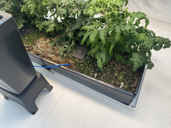 AutoPot AQUAbox Straight - in use