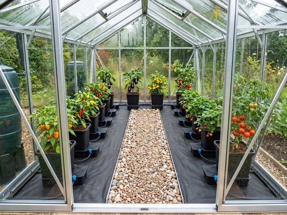 Automatic Watering System Advanced Kit for 8x6 Greenhouse