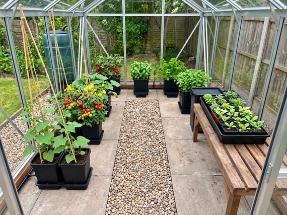 Automatic Watering System Plus Kit for 8x6 Greenhouse