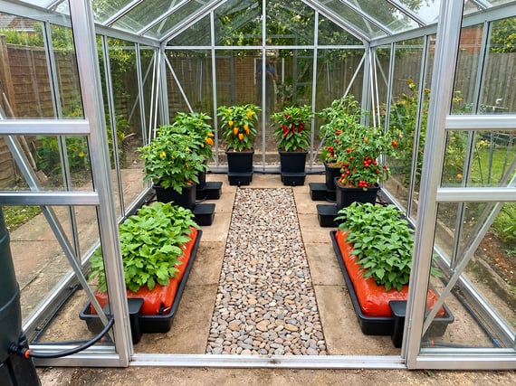 Automatic Watering System Starter Kit for 8x6 Greenhouse