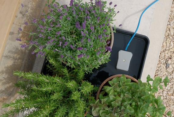 AutoPot easy2GO Kit - gallery
