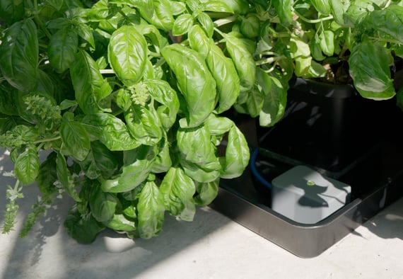 AutoPot easy2GO Kit - gallery