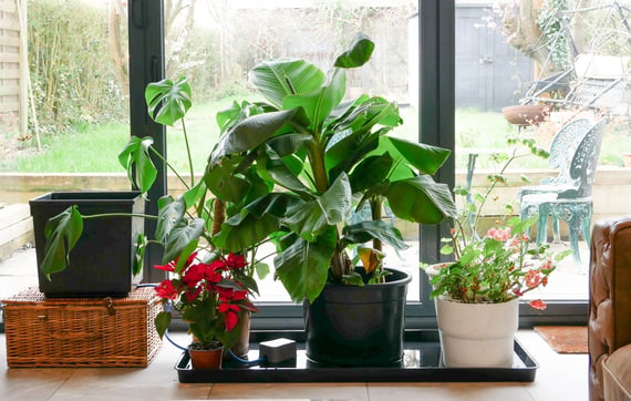 AutoPot easy2GO Kit - lifestyle