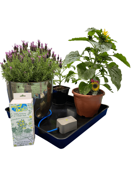 AutoPot easy2GO Kit - cutout