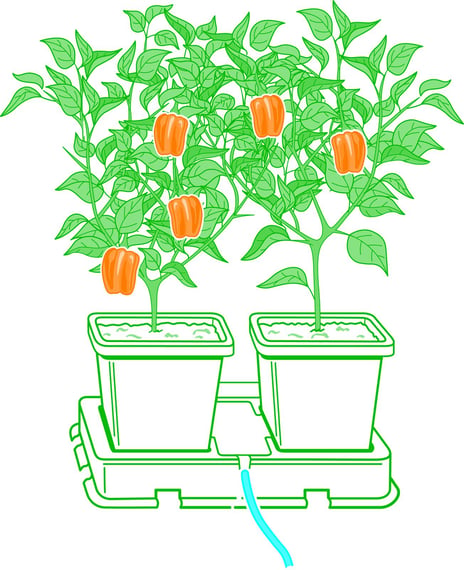 AutoPot easy2grow Extension Kit - line drawing