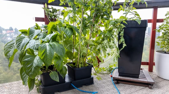 AutoPot easy2grow Kit - gallery