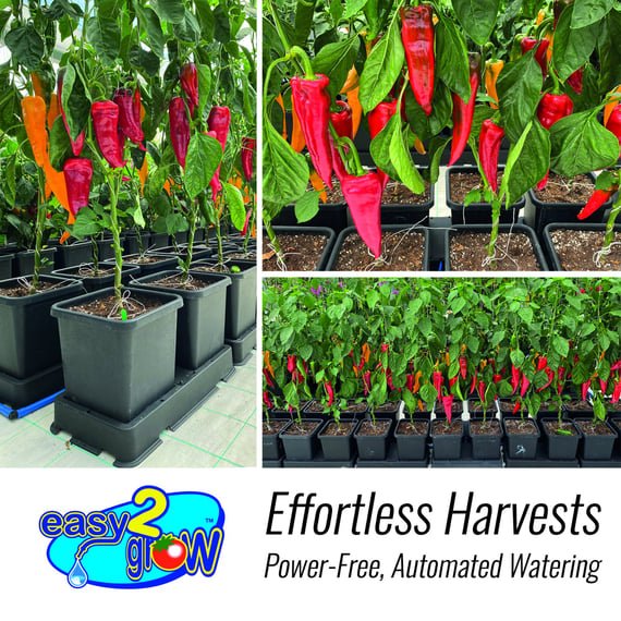 AutoPot easy2grow Kit - gallery