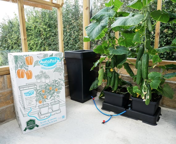 AutoPot easy2grow Kit - in use