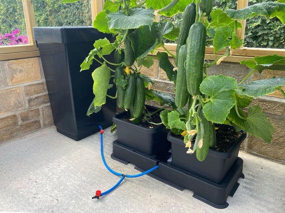 AutoPot easy2grow System - detail