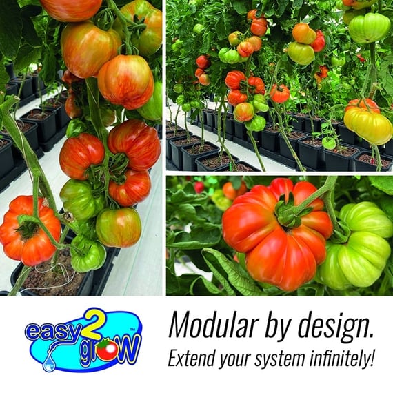 AutoPot easy2grow System - gallery 1