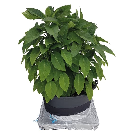 AutoPot PlantSkirt - gallery 3