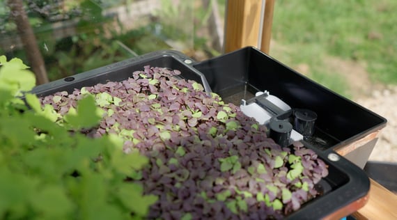 AutoPot Tray2Grow Micro Herb Tray - gallery