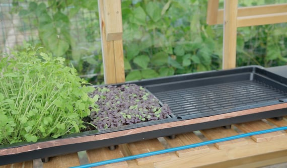 AutoPot Tray2Grow Micro Herb Tray - lifestyle