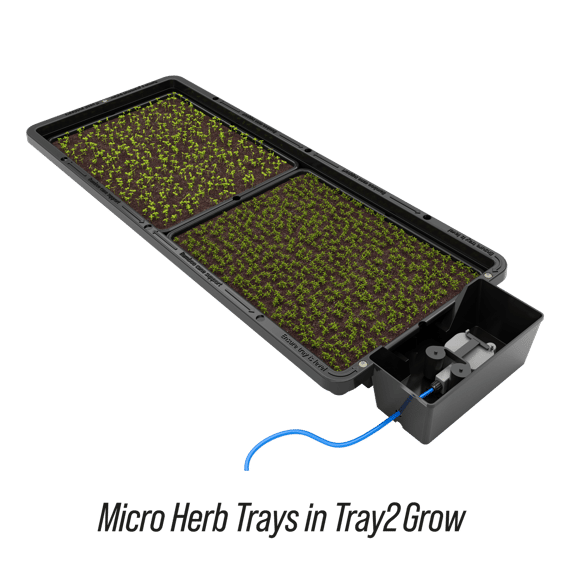 AutoPot Tray2Grow Micro Herb Tray - in use