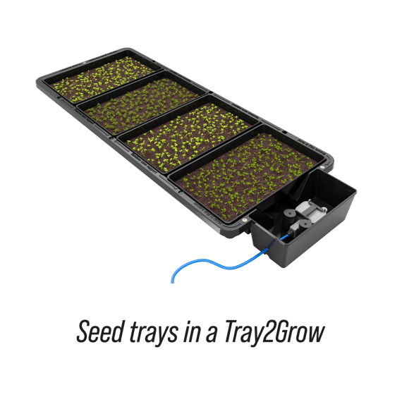 AutoPot Tray2Grow Seed Tray - in use