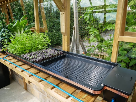 AutoPot Tray2Grow Watering System - in use