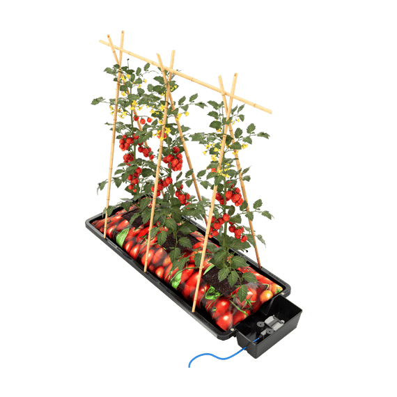 AutoPot Tray2Grow Watering System - cutout