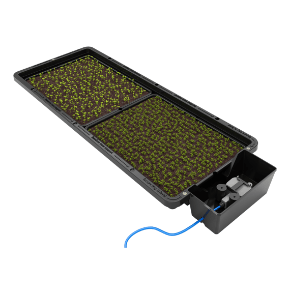 AutoPot Tray2Grow Watering System - cutout