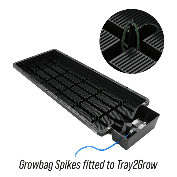 AutoPot Tray2Grow Capillary Spikes - in use