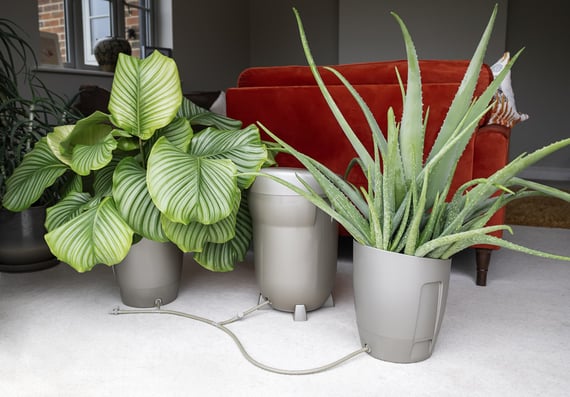 AutoPot Khloris Watering System - Metallic Sage - in metallic sage