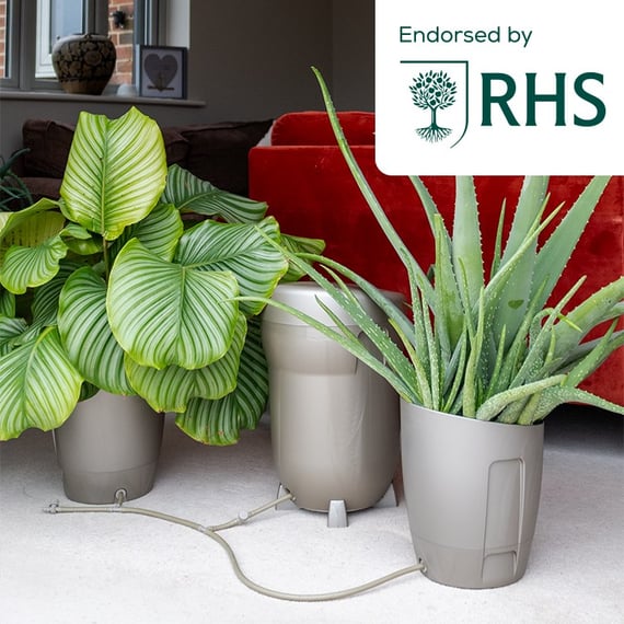 AutoPot Khloris Watering System - Metallic Sage