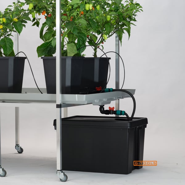G-Tools automatic ebb and flow irrigation kit with 36 litre tank and GT 800 pump
