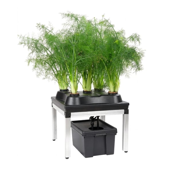 G-Tools 3-in-1 grow system for the Bonanza 0.35 cabinet, complete indoor chilli setup