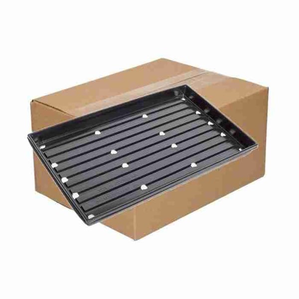 Perforated 510 x 310mm microgreens growing trays stacked in a box of 20